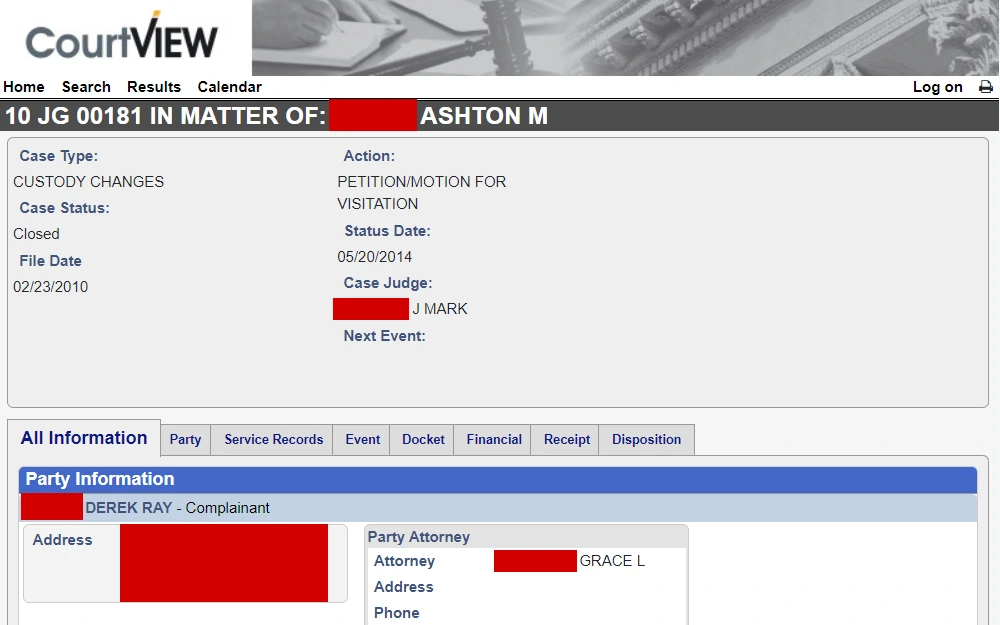 A screenshot of the search tool that allows the public to obtain criminal case data.
