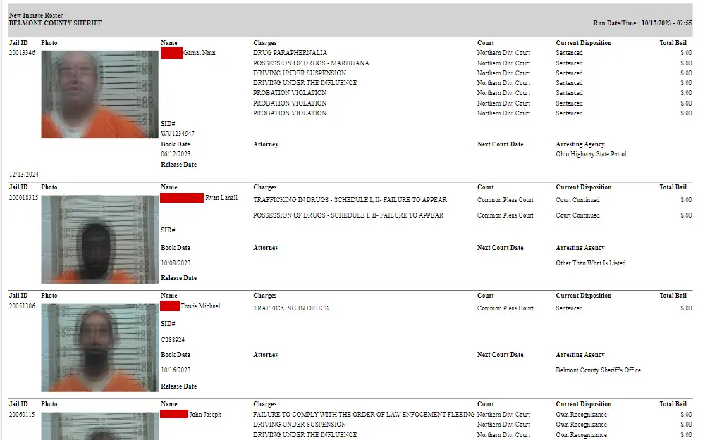 A screenshot of the search tool that displays persons detained in Belmont County Jail.
